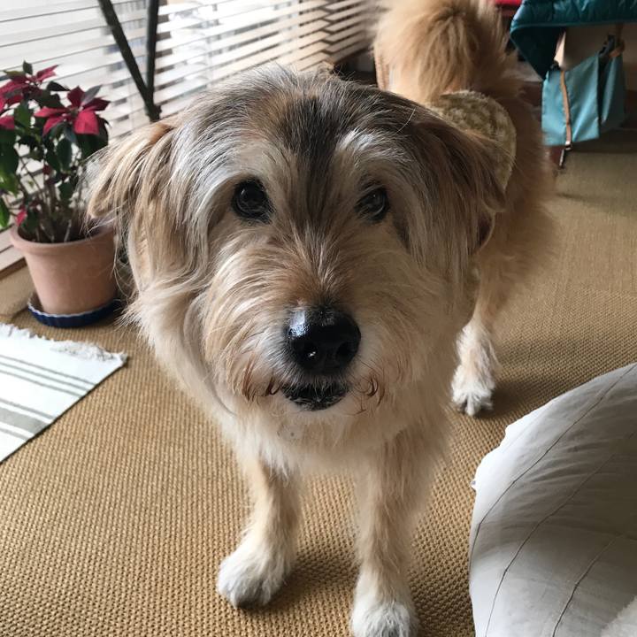 10ec491f de8e 4b16 9e6c f52fdc8b95d3 1646262769813