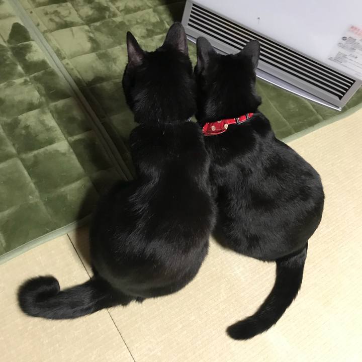 10ed428a b5f6 4881 a8ba e9e85913fd15 1514101091212