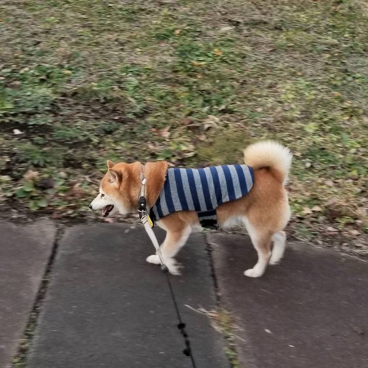 10ed5865 90a2 471a a61f 0e4f301ba7c6 1639207665504