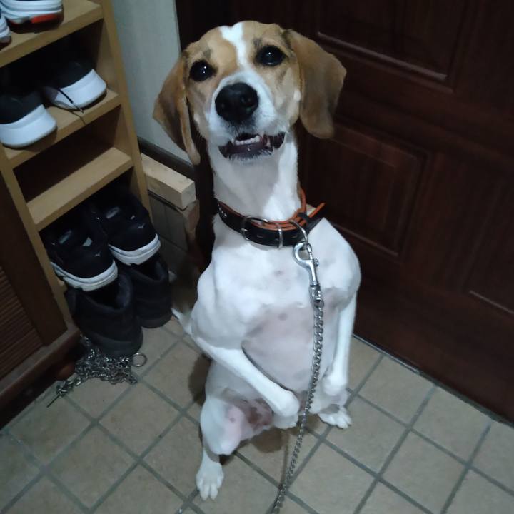 10ed700d 5d96 4c87 9c32 304d5770b1d5 1633941827607