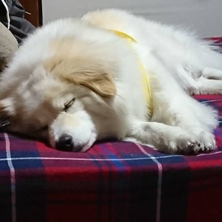 10ed8193 09e9 4f35 8ee8 1c5eb0cc66c4 1529848639830