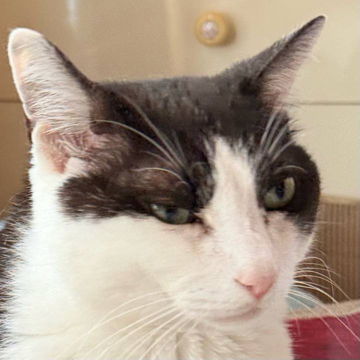 10ed99f2 4a6a 4855 89c5 82347b1fb19a 1748310618446