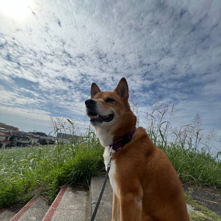 10edb42a c99f 490d 8520 44567b886916 1696726259494