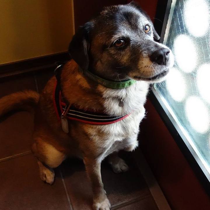 10edb599 e3a5 4689 b536 325f63b15634 1509153227886