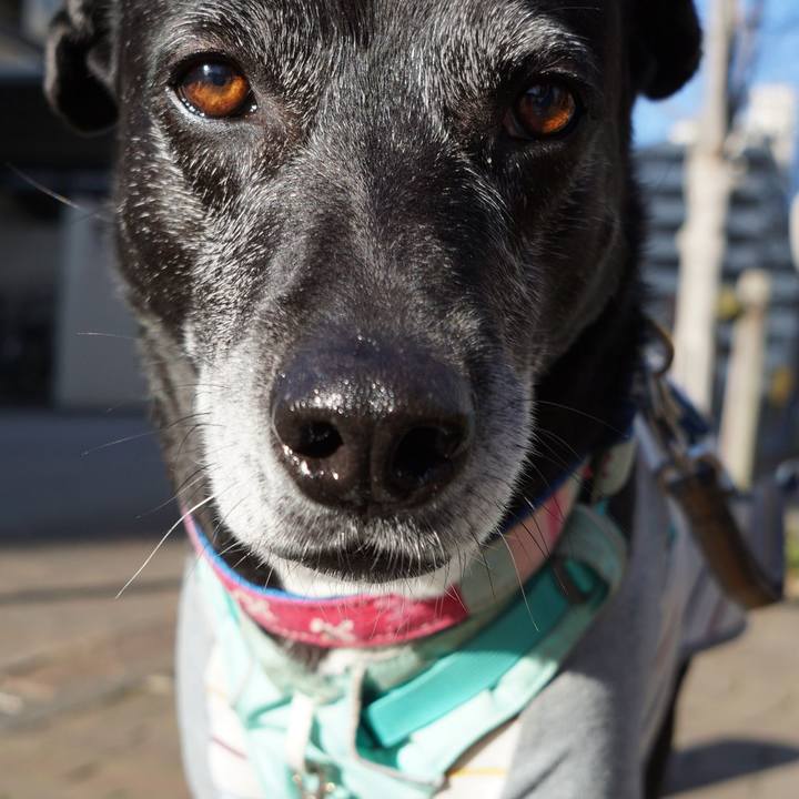 10edc81f c5bf 4116 a421 37c2d731adab 1773537682436