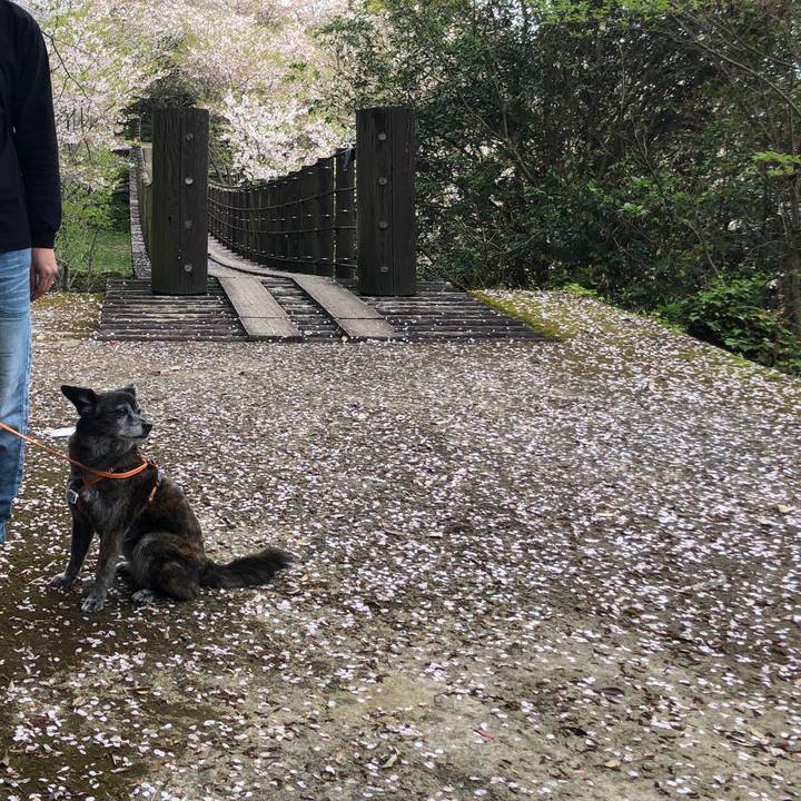 10edeb15 0bea 4628 be4f 6c5b7f6cb77d 1713602327612