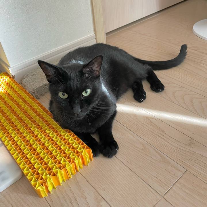 10edebab e490 42ec af51 7aaf68397774 1662820343910