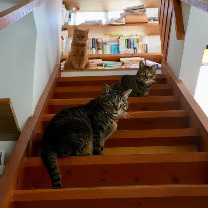 10ee154a 6812 4489 b895 a575922f03b2 1742686914168