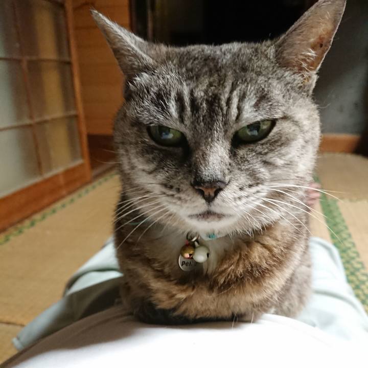 10ee3aaa 1ae5 493e 9952 54a5cb168659 1567418081180