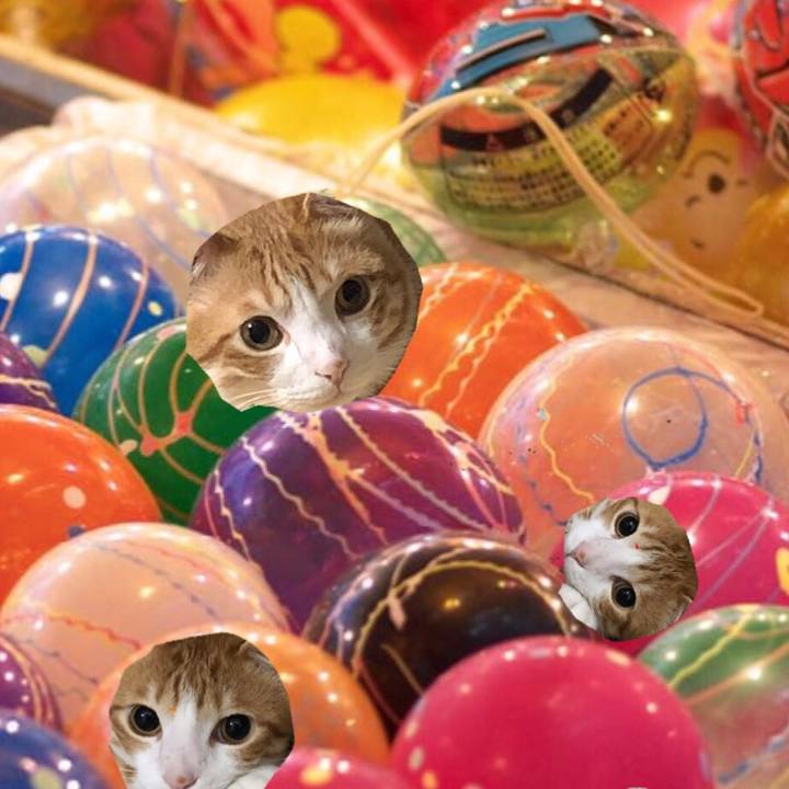 10ee785e 6139 48b7 8412 946f45ffdba2 1565606853356