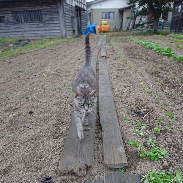 10eeab30 4db9 4279 a31b 8a3e7f2ce14e 1569053693678