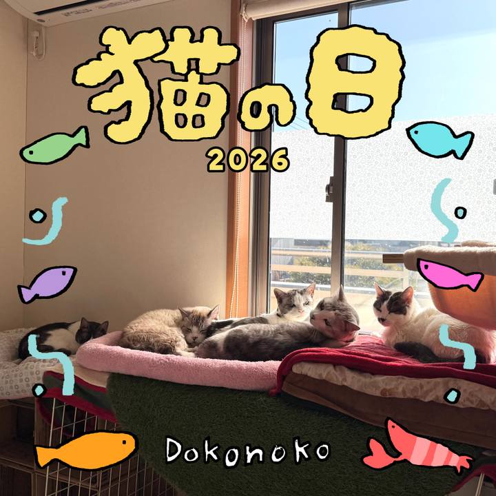 10eeb780 39dc 452a b935 4994d2da6298 1771720168052