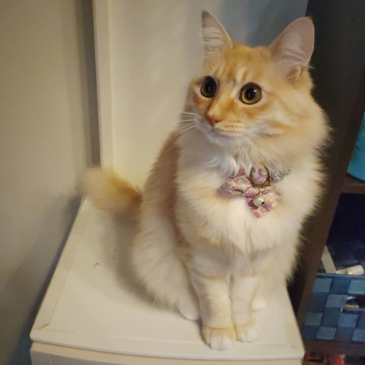 10eec959 75e4 474d bb4d fc396d35a945 1666651784551