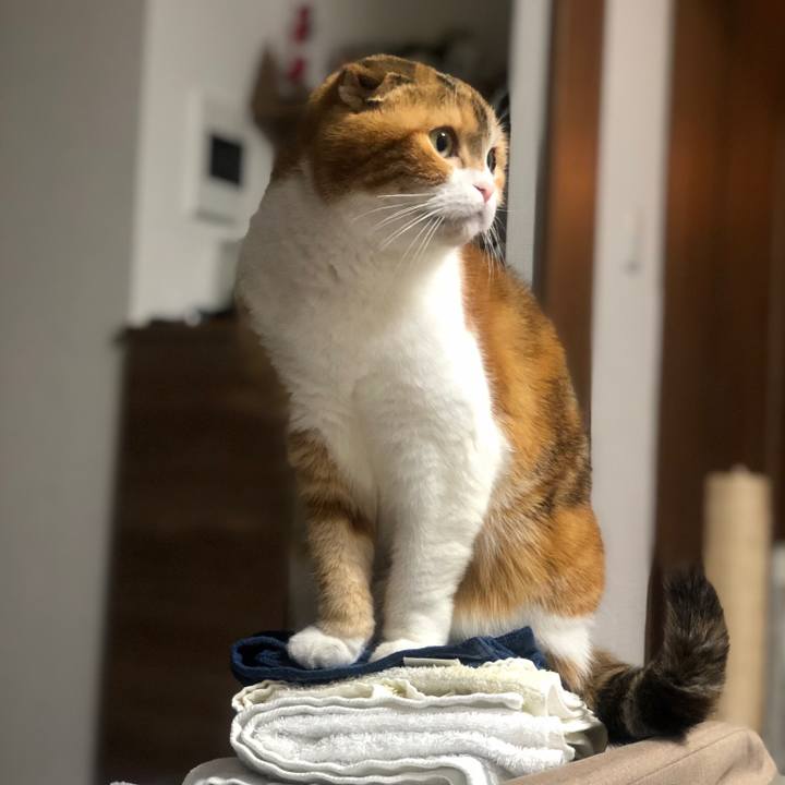 10eef2ea 96cc 4494 83d8 bed17f4b3279 1613553363865