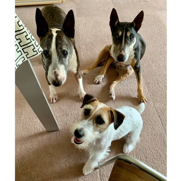 10eef50e 6a9b 4500 8152 e228462eaef0 1623813516291