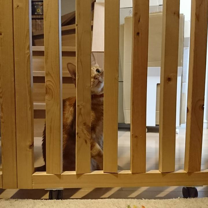 10ef00f7 52cd 4ed8 9b42 5d943483e690 1516457377880