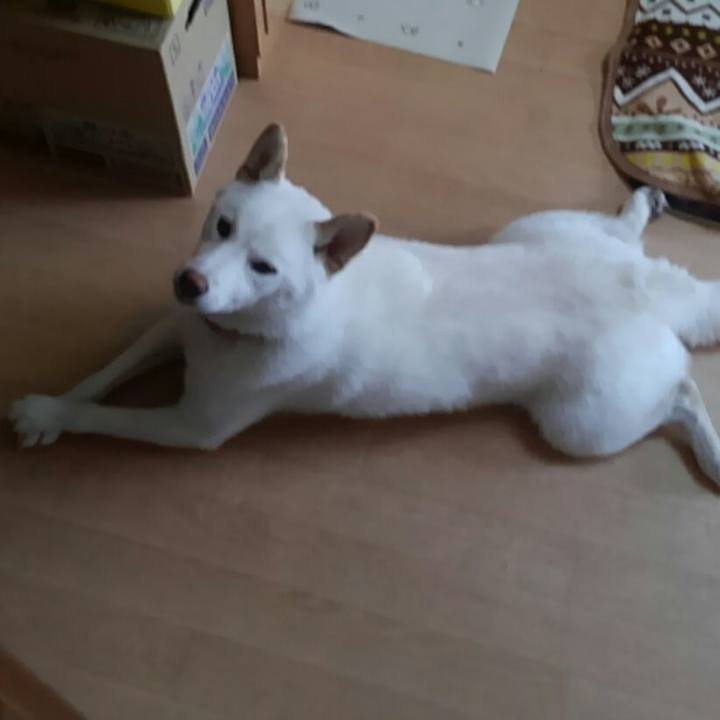 10ef1e7b b4b8 46c4 a2f7 45c91a565c87 1511248902411