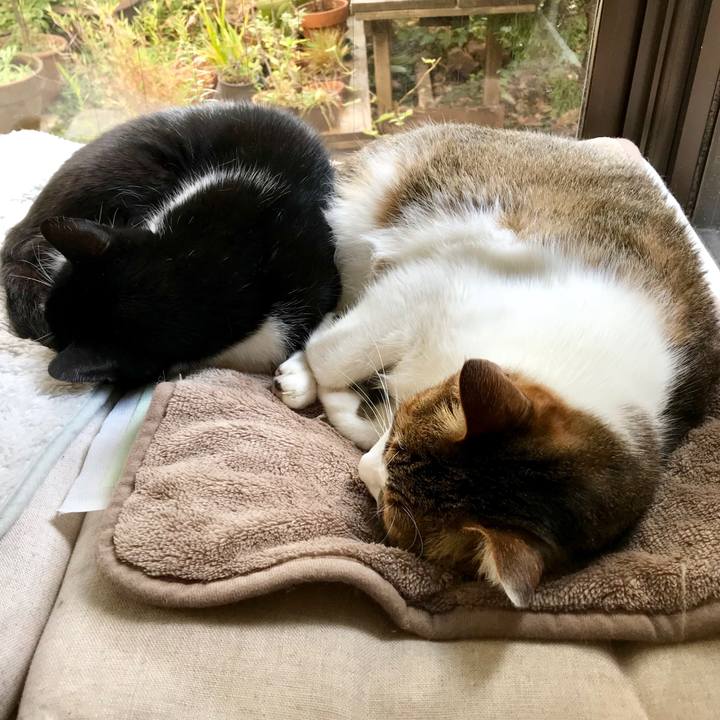 10ef4875 6b49 4727 a0ef db3eb05609f0 1511668684772