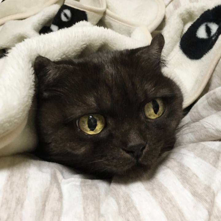 10ef4ef3 0c47 4bcb ac2b 8ec3a9376897 1576392219868