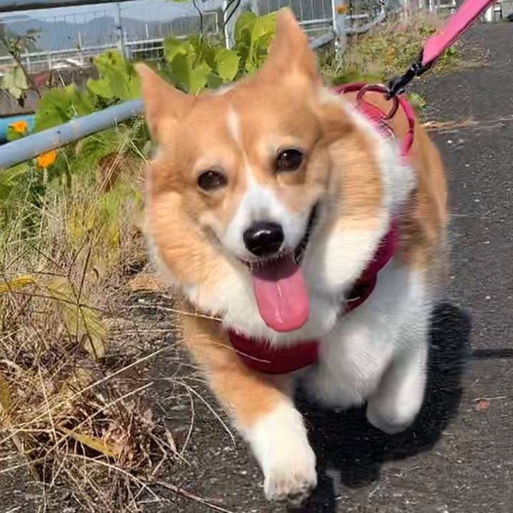 10ef6a00 8d2e 4221 be6c afa717373551 1668058088018