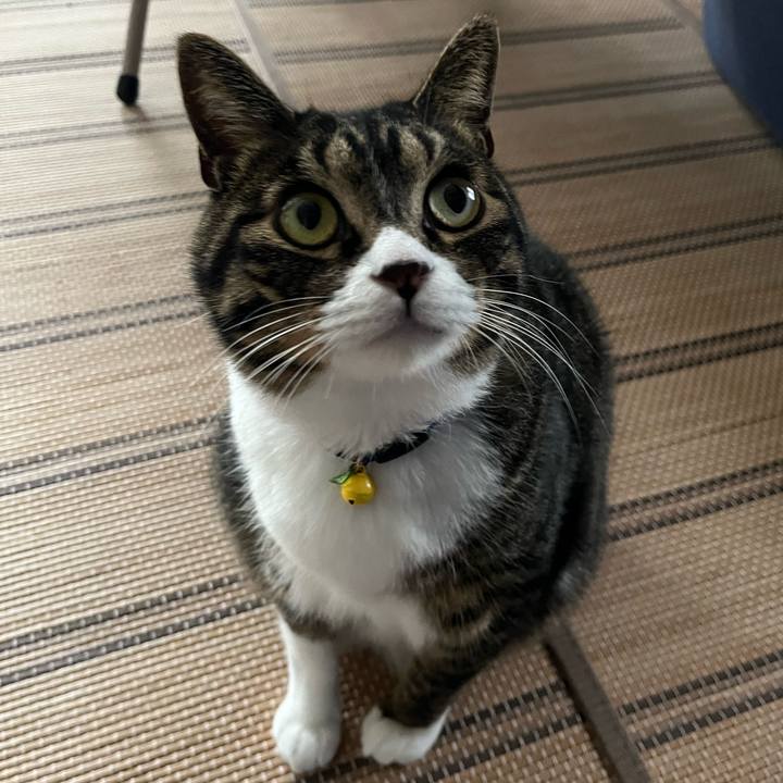 10efa779 8cc6 42d6 bfe9 8d7a3026fc01 1759186283274