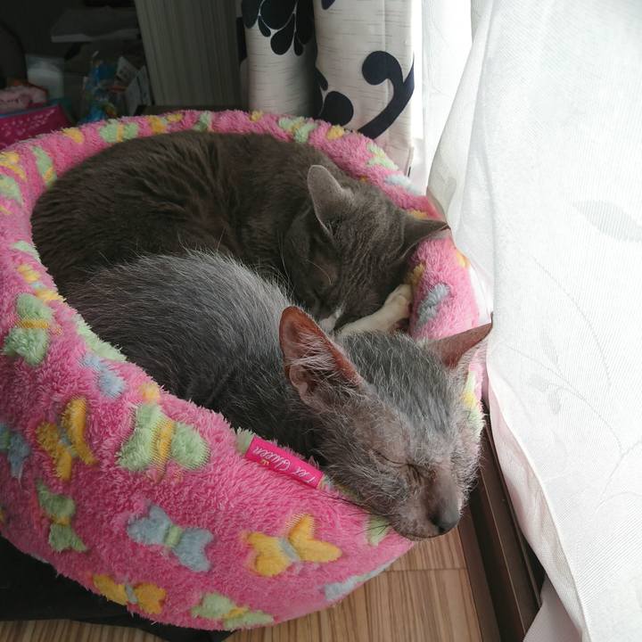 10efb2d3 719e 4ca4 a7c8 68a6c2fbb8e7 1515904828533