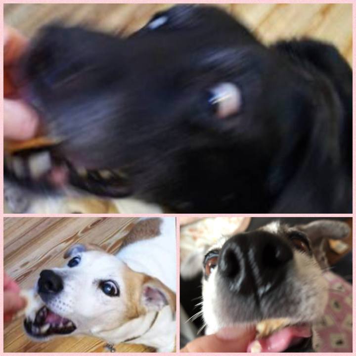 10efc8ac 4bcd 4661 b0ac ece2111b51dd 1522845824324