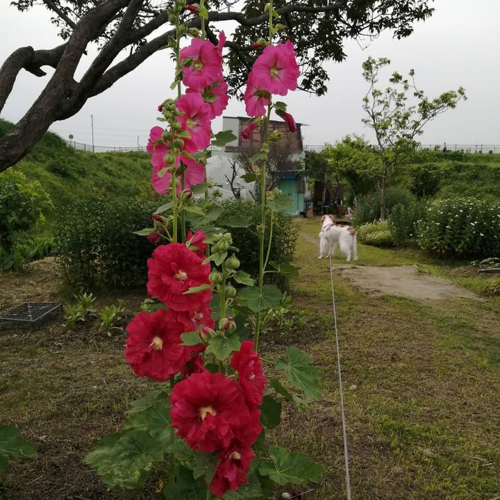 10effa90 9a43 4ce5 a739 b0d33c522990 1622018979919