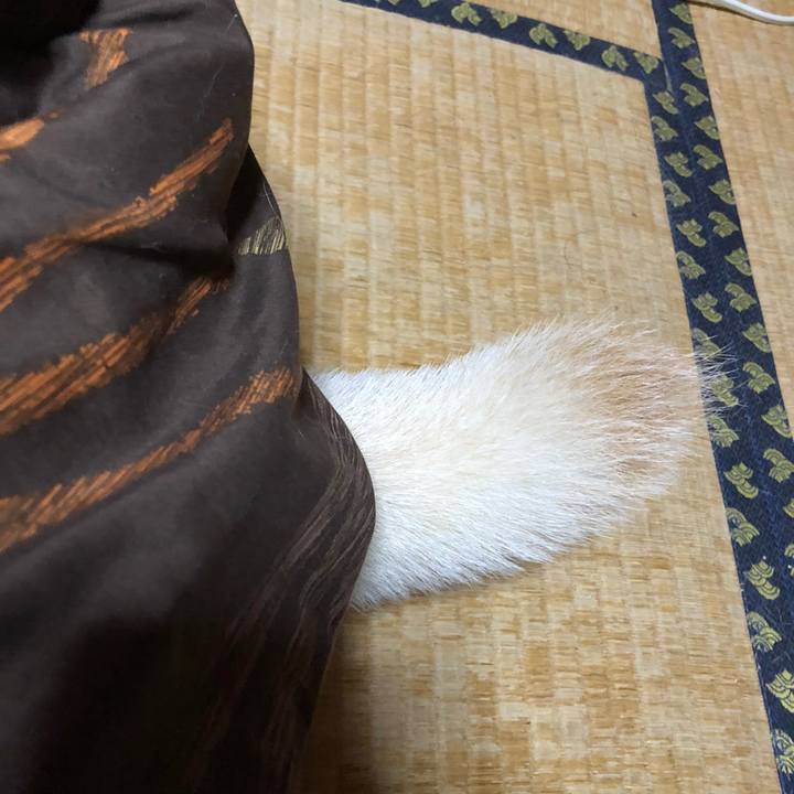 10f00bc3 ce84 4827 8f55 25788f210be9 1604661506681