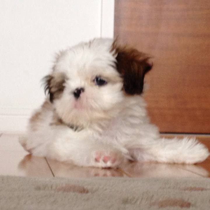 10f00fed b761 4805 ab89 d8d6810a17d3 1516831943859