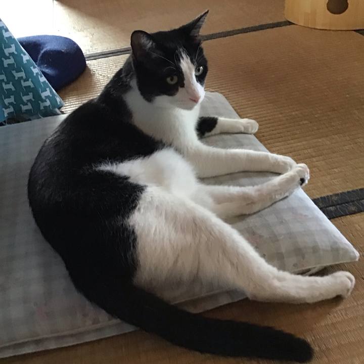 10f05739 48e6 4aa1 9dc4 b9dc32555a93 1756364066874