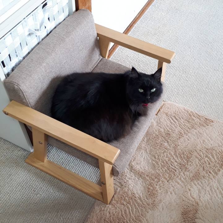 10f064bd 0b40 4389 97ad 31eb60307f6d 1518740757648