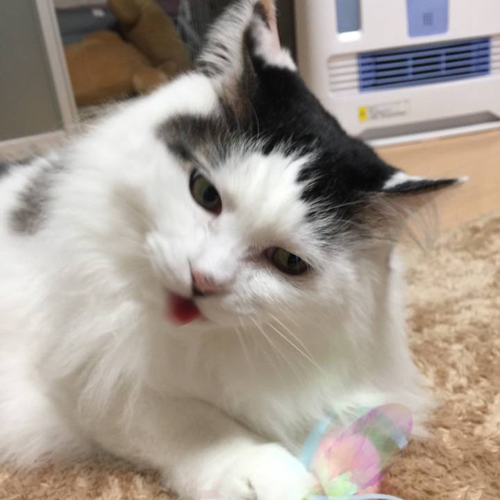 10f06581 dee0 4e22 b73f 1ac6426535a0 1519035705209