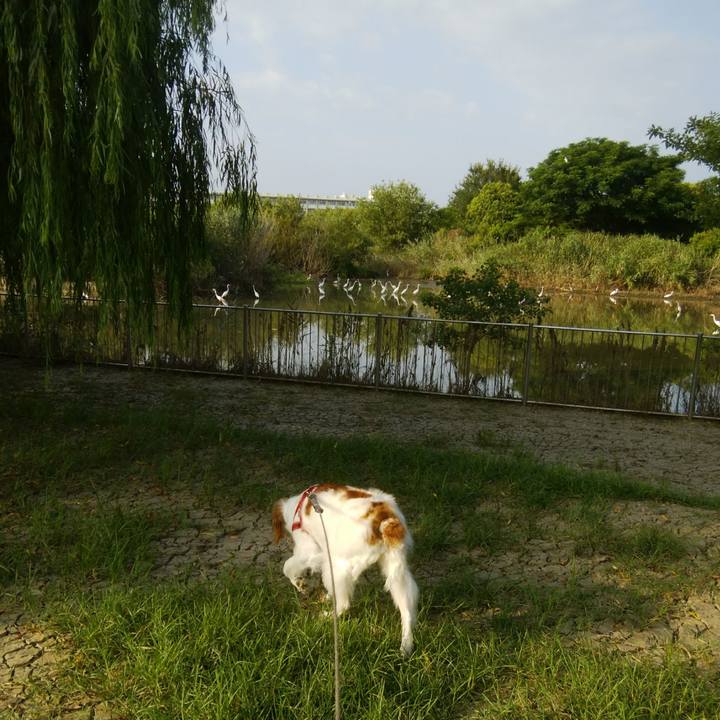 10f09069 c4e9 4ebb a778 d163bbdba9b6 1533624512003