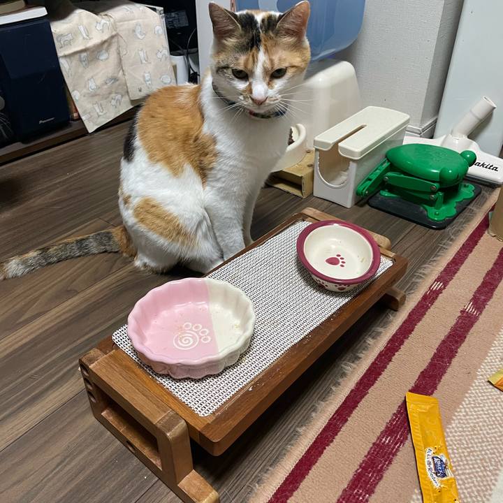 10f0a9f7 741e 4d1f ac9a f11c2e8a94bb 1718289648397