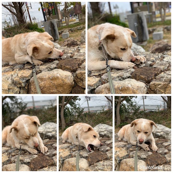 10f0b4c2 8357 4ca0 8b49 c1a0edd877d6 1550586690841