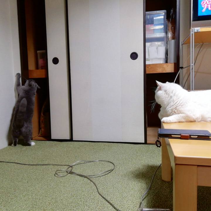 10f0c02a d15f 41cf 8e04 c7af0ca03189 1659017473299