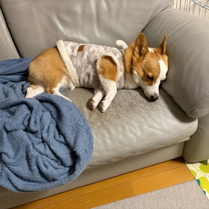 10f102e0 0efe 4d8d ab90 10d67de04ff6 1768318812286