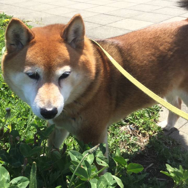 10f109b6 9200 4bfe ad5e b0dafd6923f1 1618989466890