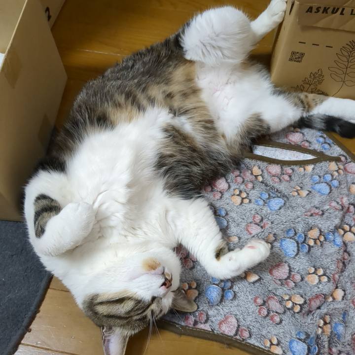 10f16605 d00d 4f07 9ced 1c296c5b8082 1683451765537