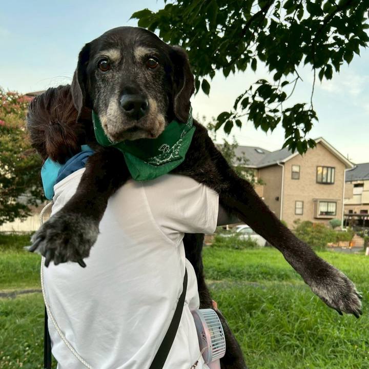 10f16dd8 52da 4d01 a99f 9e6d9bc00cb5 1753703139773