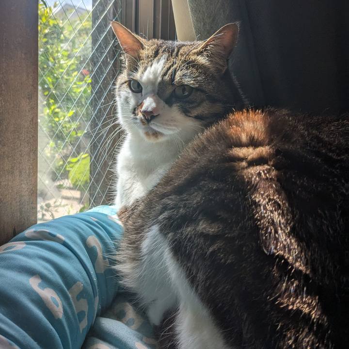 10f1714f 0c45 43b1 8e23 eaf34f95c651 1713238262677