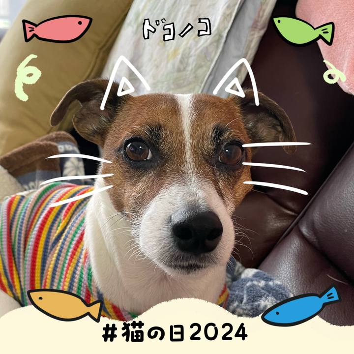 10f1b2bb 8ca5 44ea aa7b 54f56c9a1655 1708608260193