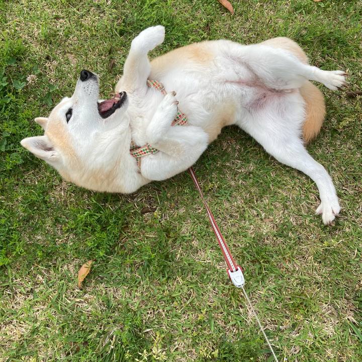 10f1f327 66d4 4081 b651 b1f004058872 1667484695782