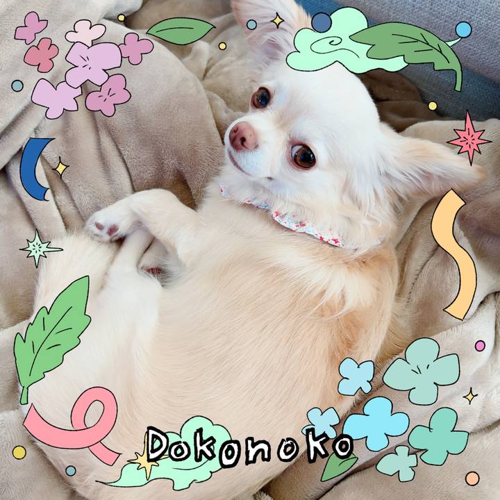 10f1f397 4f9b 4d1d b424 3acb6942c6c3 1717629681979