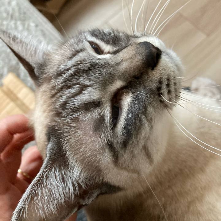 10f1f558 c546 4605 b420 6d19f406c73b 1679535341935