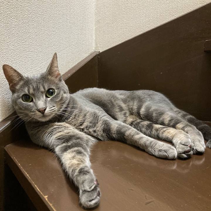 10f21df4 c10f 4baf 9854 72b89624aa3d 1626274060847