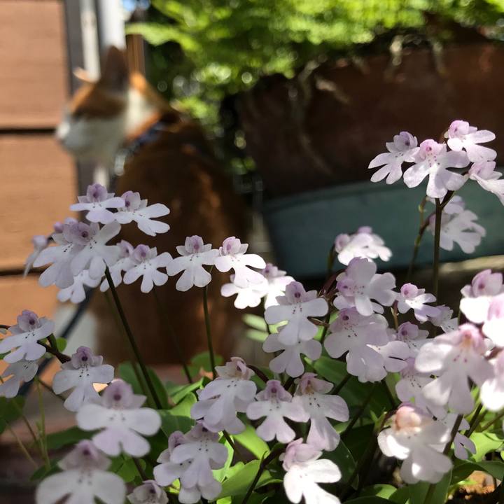 10f22019 8029 45b5 9cd1 33f7478183b4 1526869083101