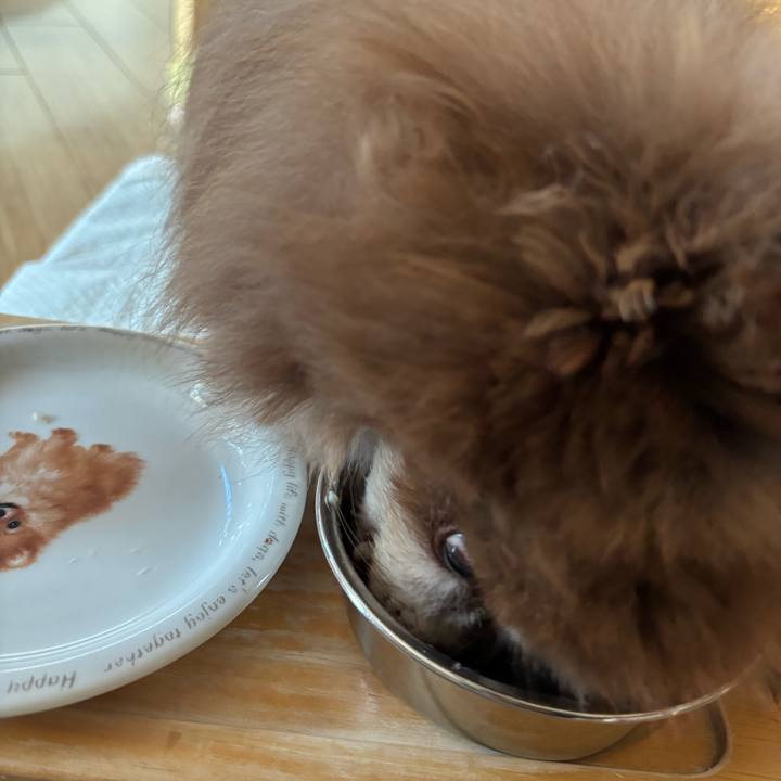 10f220cd 7ac5 4616 9860 e50eeff18117 1762156165610