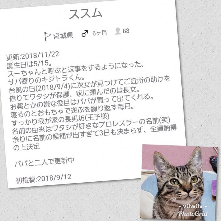 10f27a4e cf47 4734 88df 95f011a25700 1543719444959